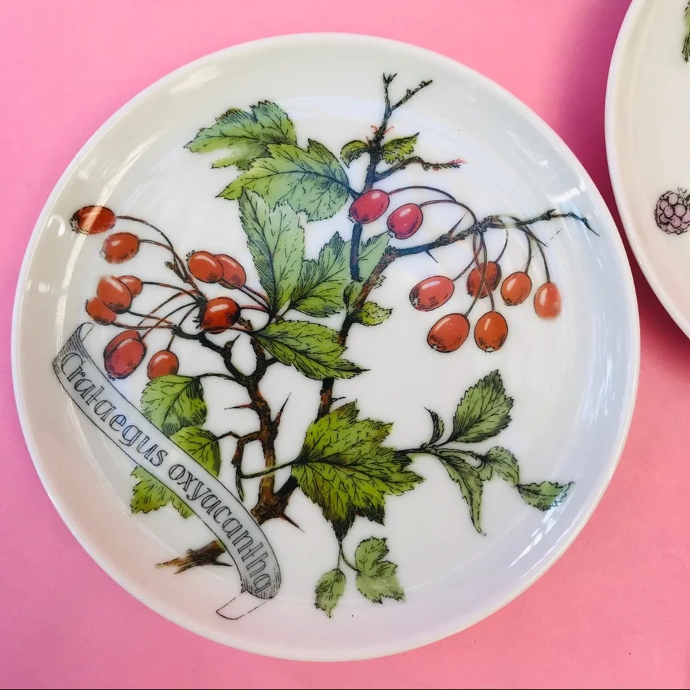 Vintage Kaiser W Germany saucers
